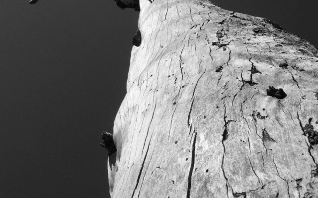 Gansbaai FotografieklubSeLaastes1 (1)_1